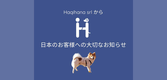 イタリアハキハナ社(Haqihana srl)からお知らせが届きました!