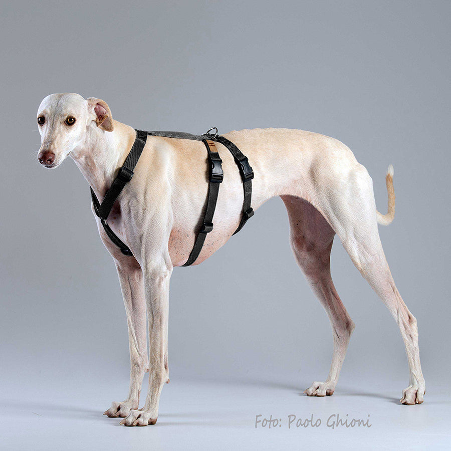 ハキハナ 社 ハーネス 脱走防止 Haqihana s.r.l harness S2H
