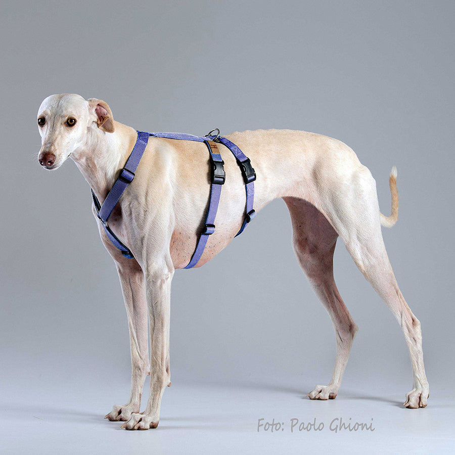 ハキハナ 社 ハーネス 脱走防止 Haqihana s.r.l harness S2H