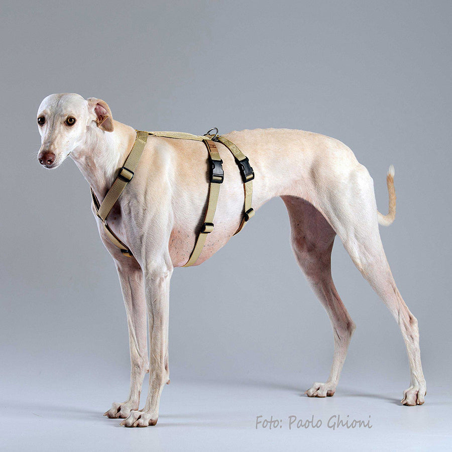 ハキハナ 社 ハーネス 脱走防止 Haqihana s.r.l harness S2H